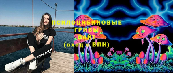 дурь Абинск