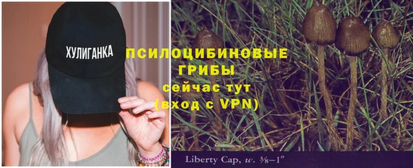 дурь Абинск